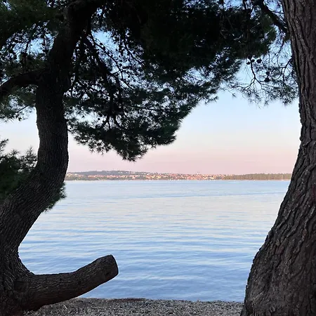 212bellavista Neu Kroatien Pomer